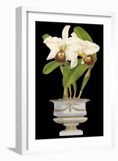 Orchids in Silver II-null-Framed Art Print