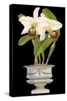 Orchids in Silver II-null-Stretched Canvas