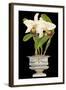 Orchids in Silver II-null-Framed Art Print