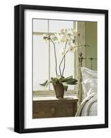 Orchids In The Window-Zhen-Huan Lu-Framed Giclee Print