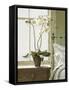 Orchids In The Window-Zhen-Huan Lu-Framed Stretched Canvas