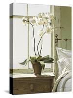 Orchids In The Window-Zhen-Huan Lu-Stretched Canvas