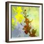 Orchids Inspired-Jan Weiss-Framed Art Print