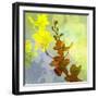 Orchids Inspired-Jan Weiss-Framed Art Print