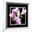 Orchids on Black III-Alan Hausenflock-Framed Art Print