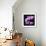 Orchids on Black IV-Alan Hausenflock-Framed Art Print displayed on a wall