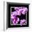 Orchids on Black IV-Alan Hausenflock-Framed Art Print