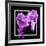 Orchids on Black V-Alan Hausenflock-Framed Art Print