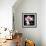 Orchids on Black VI-Alan Hausenflock-Framed Art Print displayed on a wall