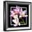 Orchids on Black VI-Alan Hausenflock-Framed Art Print