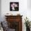 Orchids on Black VI-Alan Hausenflock-Art Print displayed on a wall