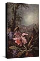 Orchids, Passion Flowers And Hummingbirds-Martin Johnson Heade-Stretched Canvas