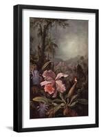 Orchids, Passion Flowers And Hummingbirds-Martin Johnson Heade-Framed Art Print