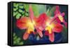 Orchids (Slc. Angel's Fantasy)-Maria Mosolova-Framed Stretched Canvas