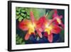 Orchids (Slc. Angel's Fantasy)-Maria Mosolova-Framed Premium Photographic Print