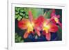 Orchids (Slc. Angel's Fantasy)-Maria Mosolova-Framed Photographic Print