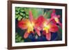 Orchids (Slc. Angel's Fantasy)-Maria Mosolova-Framed Photographic Print