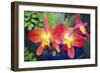 Orchids (Slc. Angel's Fantasy)-Maria Mosolova-Framed Photographic Print