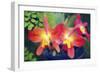 Orchids (Slc. Angel's Fantasy)-Maria Mosolova-Framed Photographic Print