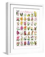 Orchids-null-Framed Art Print