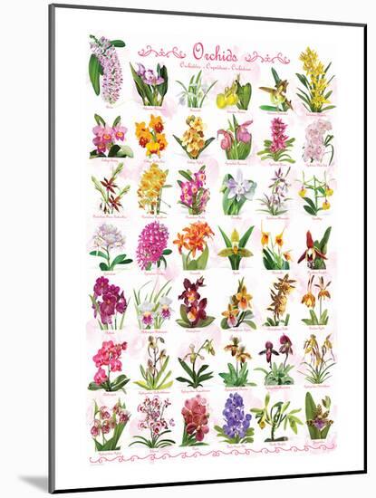 Orchids-null-Mounted Art Print