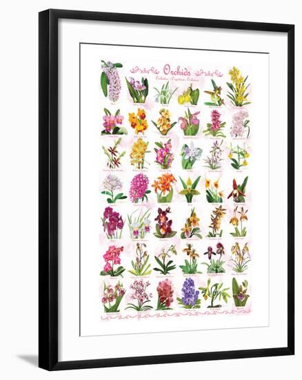 Orchids-null-Framed Art Print