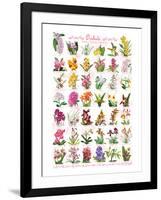 Orchids-null-Framed Art Print