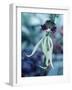 Orchids-Alfred Eisenstaedt-Framed Photographic Print