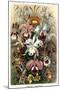 Orchids-Ernst Haeckel-Mounted Art Print