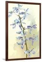 Orchids-null-Framed Art Print