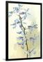 Orchids-null-Framed Art Print