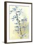 Orchids-null-Framed Art Print