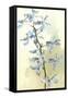 Orchids-null-Framed Stretched Canvas