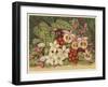 Orchids-null-Framed Art Print