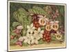 Orchids-null-Mounted Art Print