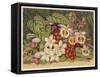 Orchids-null-Framed Stretched Canvas