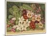 Orchids-null-Mounted Art Print