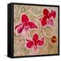 Orchids-Mary Smith-Framed Stretched Canvas