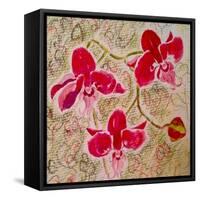 Orchids-Mary Smith-Framed Stretched Canvas