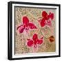 Orchids-Mary Smith-Framed Giclee Print