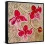 Orchids-Mary Smith-Framed Stretched Canvas