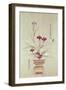 Orchids-null-Framed Giclee Print