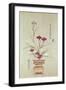 Orchids-null-Framed Giclee Print