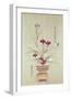 Orchids-null-Framed Giclee Print