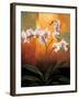 Orchids-Jill Deveraux-Framed Art Print