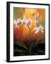 Orchids-Jill Deveraux-Framed Art Print