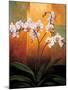 Orchids-Jill Deveraux-Mounted Art Print