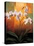 Orchids-Jill Deveraux-Stretched Canvas