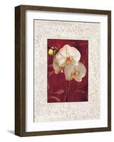 Orchids-John Seba-Framed Art Print