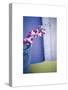 Orchids-unknown unknown-Stretched Canvas